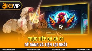 Ảnh bìa trực tiếp đá gà C1