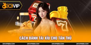 Cách đánh tài xỉu cho tân thủ