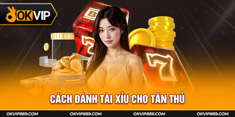 Cách đánh tài xỉu cho tân thủ