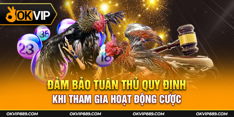 Đảm bảo tuân thủ quy định khi tham gia hoạt động cược