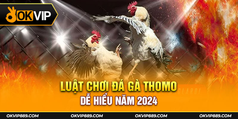 Luật chơi đá gà Thomo dễ hiểu năm 2024