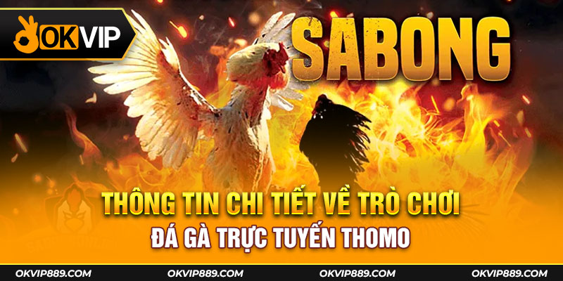 Thông tin chi tiết về trò chơi đá gà trực tuyến Thomo