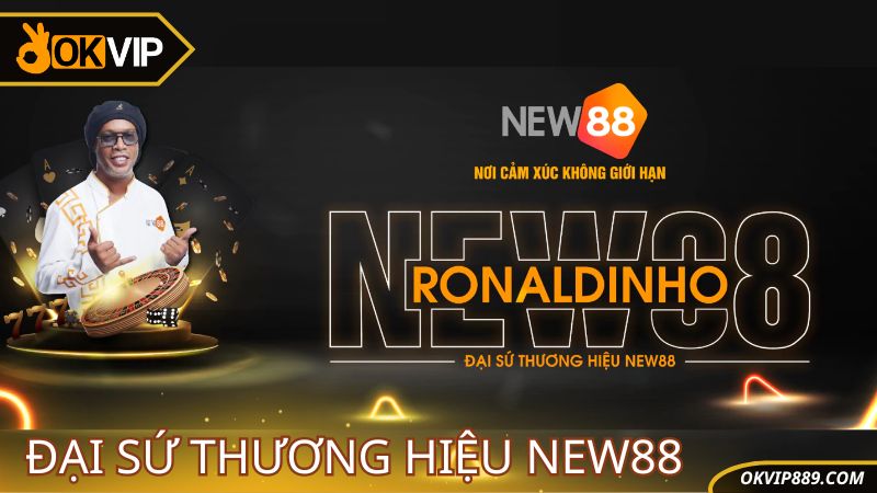 Đại sứ thương hiệu New88